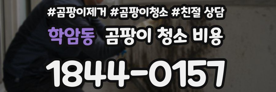 학암동 곰팡이 청소 비용