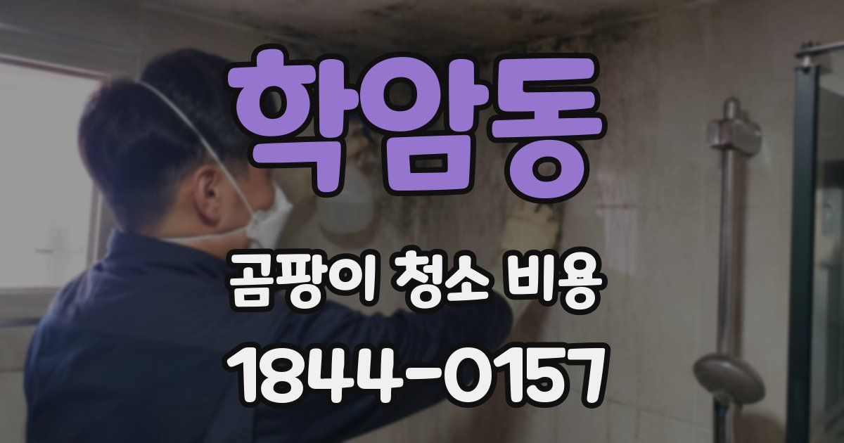 학암동 곰팡이 청소 비용