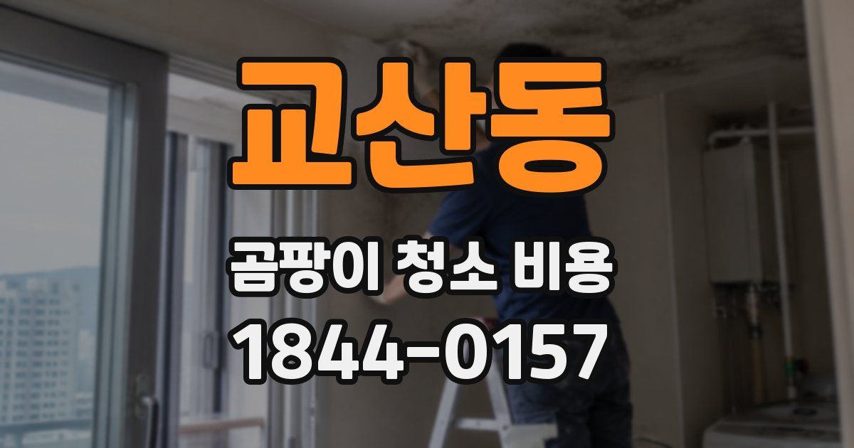 교산동 곰팡이 청소 비용