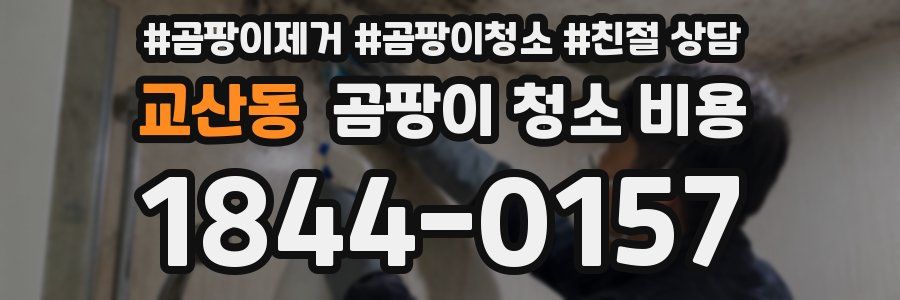 교산동 곰팡이 청소 비용