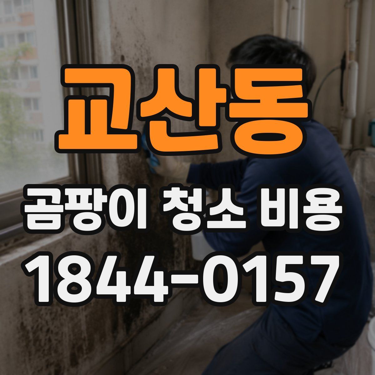 교산동 곰팡이 청소 비용