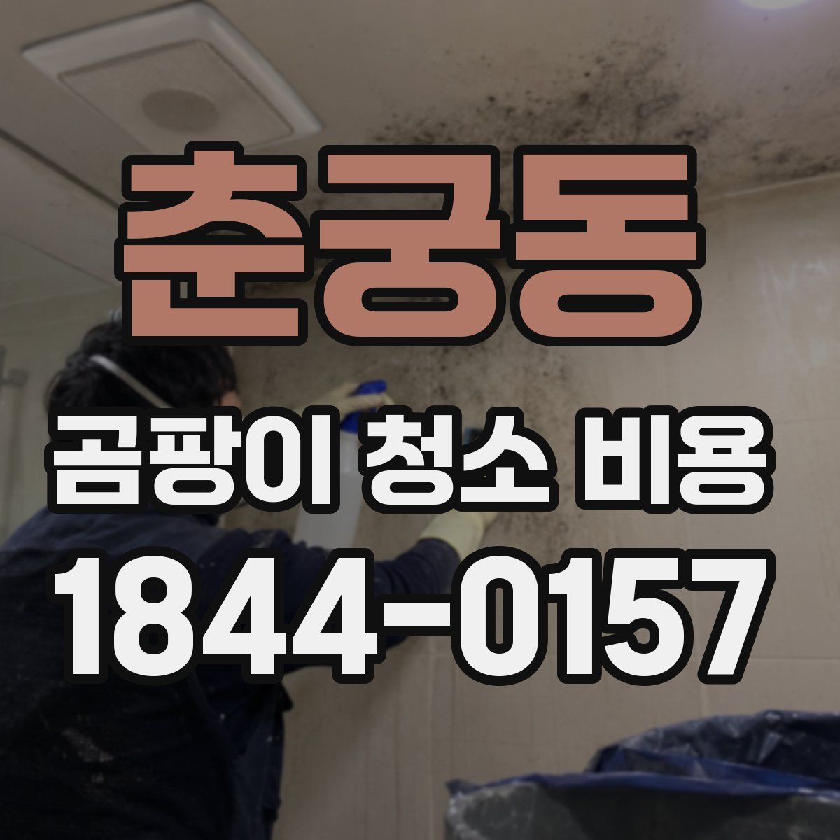 춘궁동 곰팡이 청소 비용