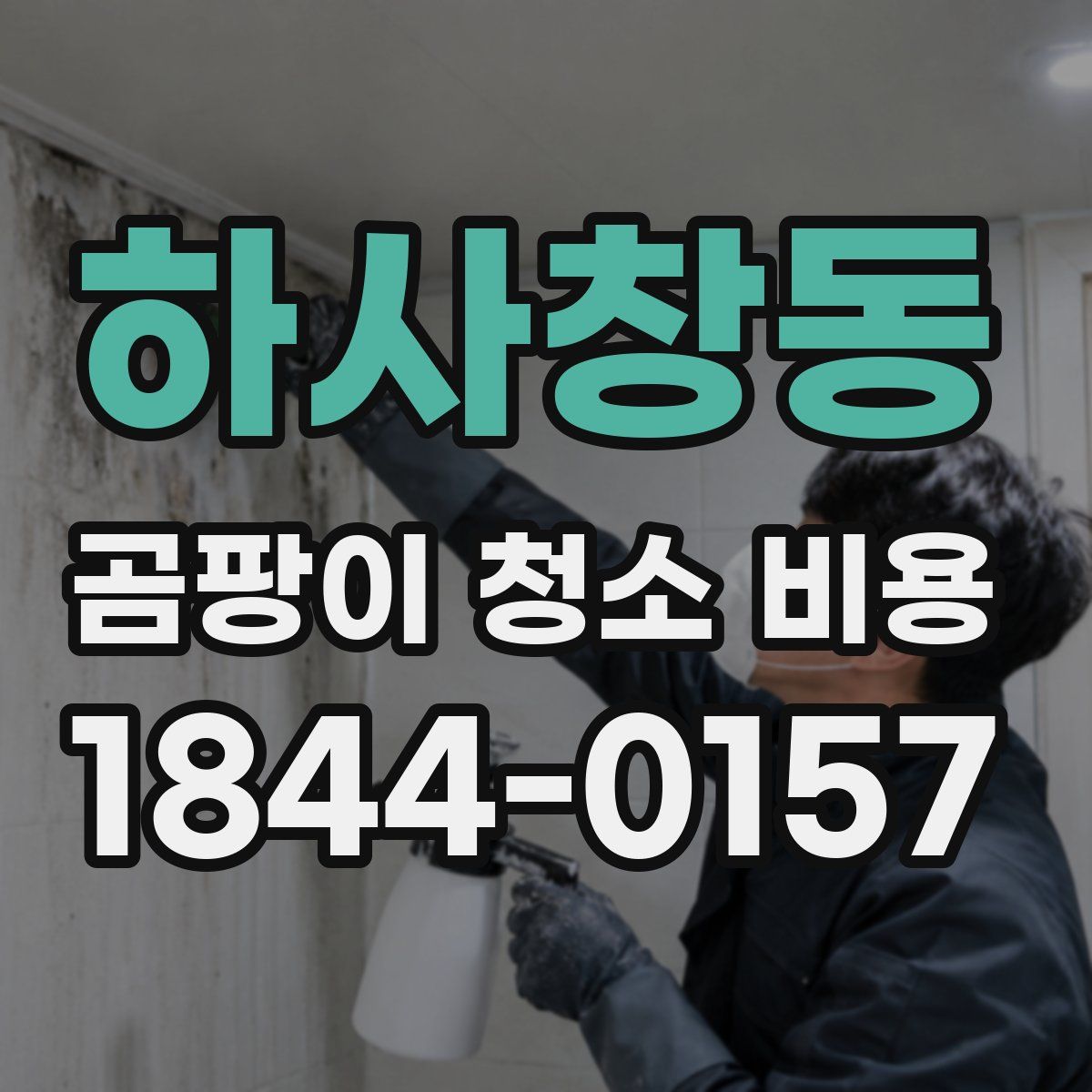 하사창동 곰팡이 청소 비용