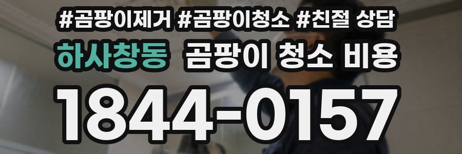 하사창동 곰팡이 청소 비용