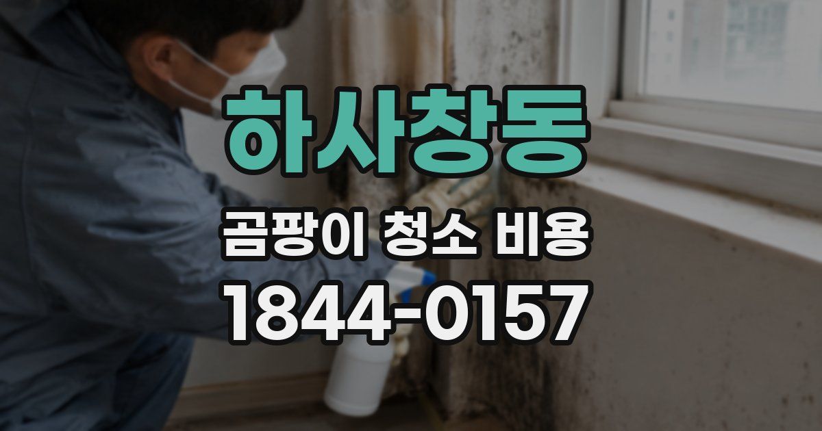 하사창동 곰팡이 청소 비용