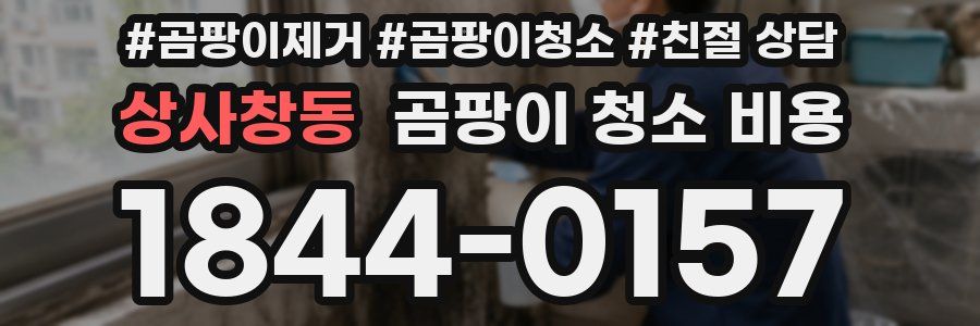 상사창동 곰팡이 청소 비용