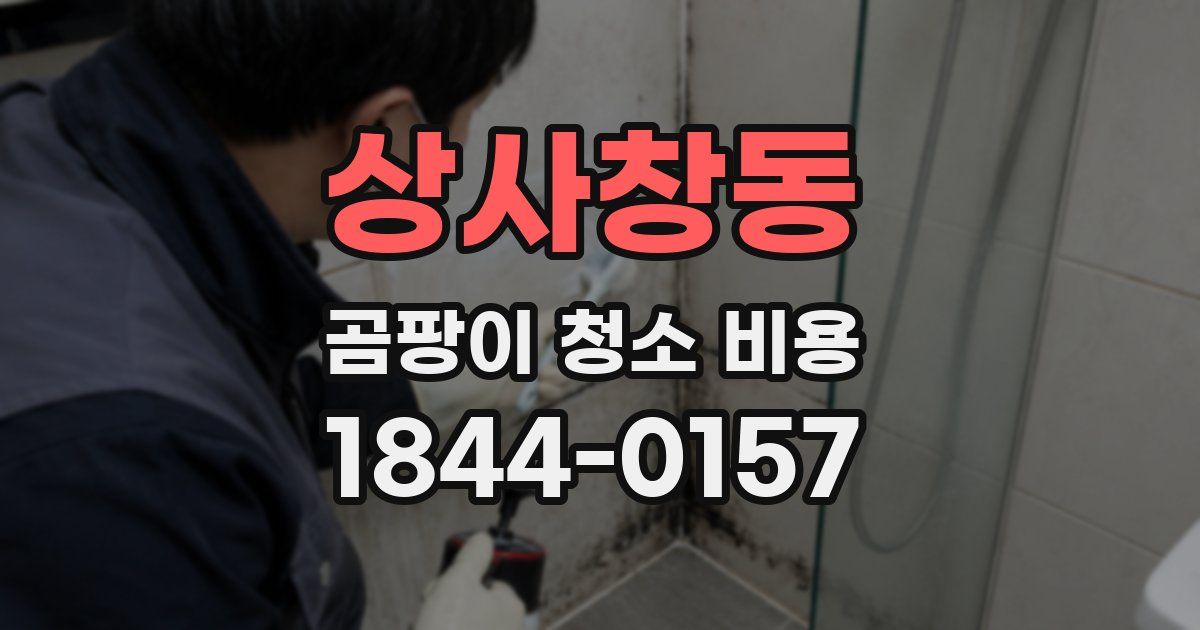 상사창동 곰팡이 청소 비용