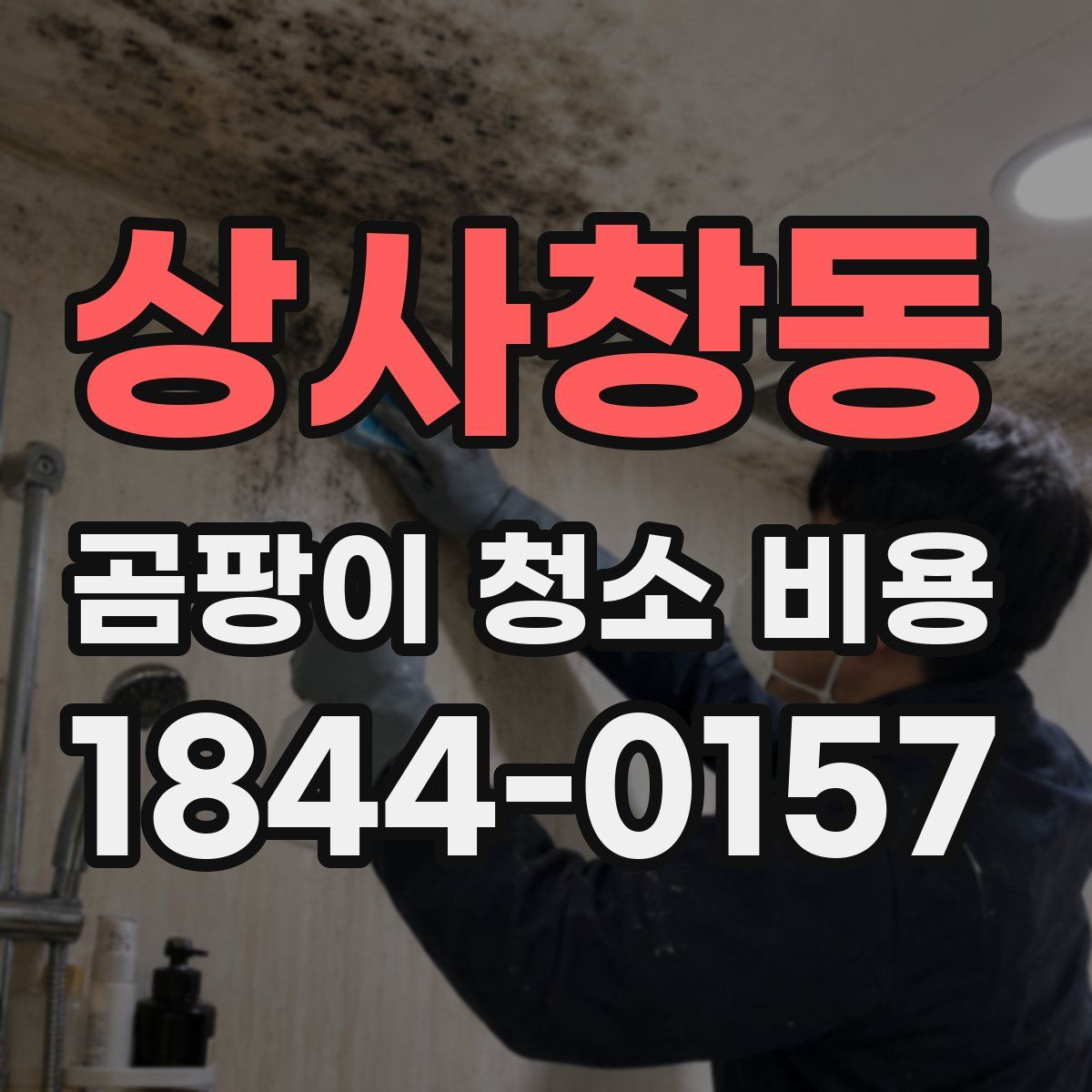 상사창동 곰팡이 청소 비용