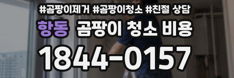 항동 곰팡이 청소 비용