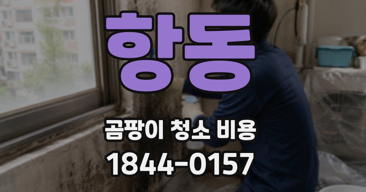 항동 곰팡이 청소 비용