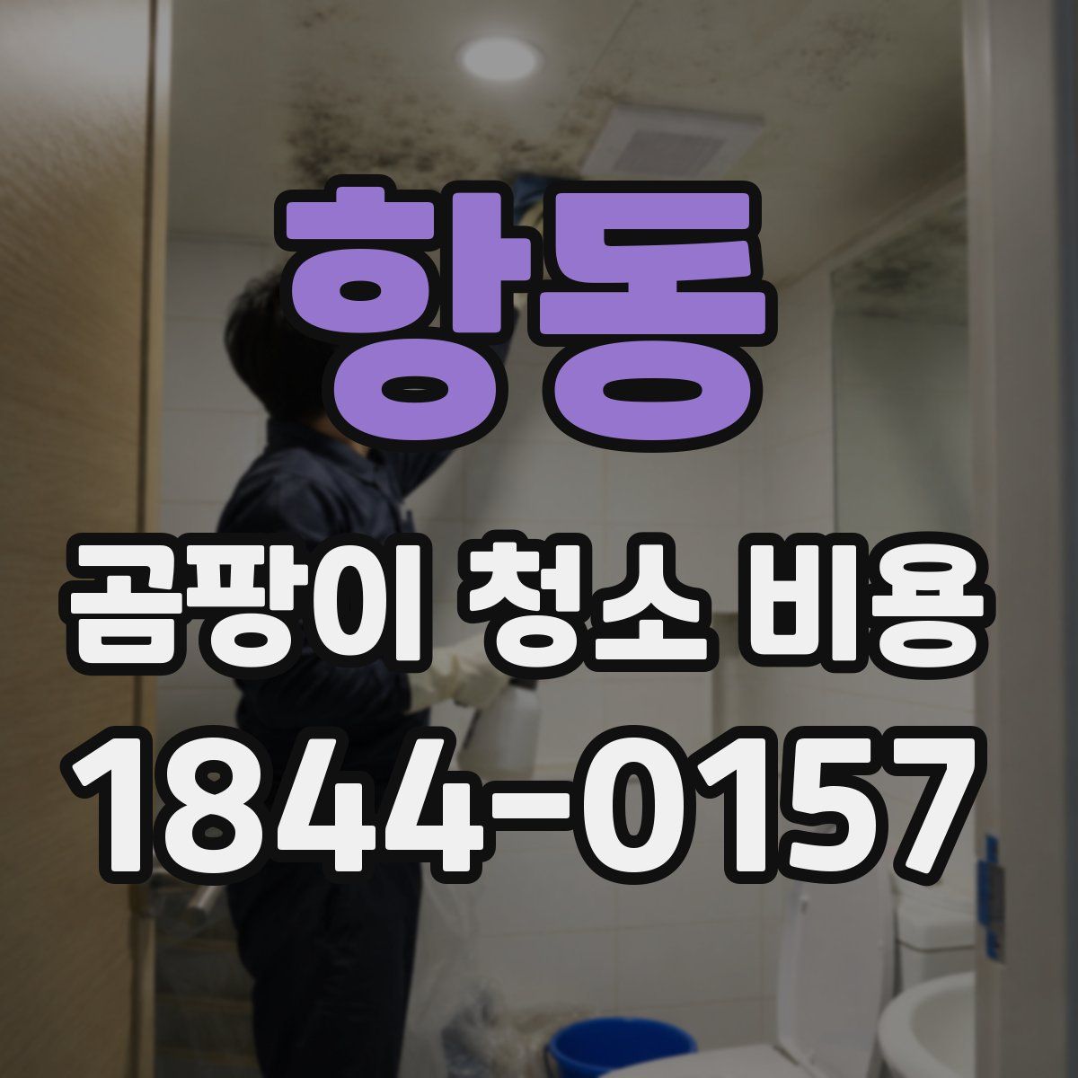 항동 곰팡이 청소 비용