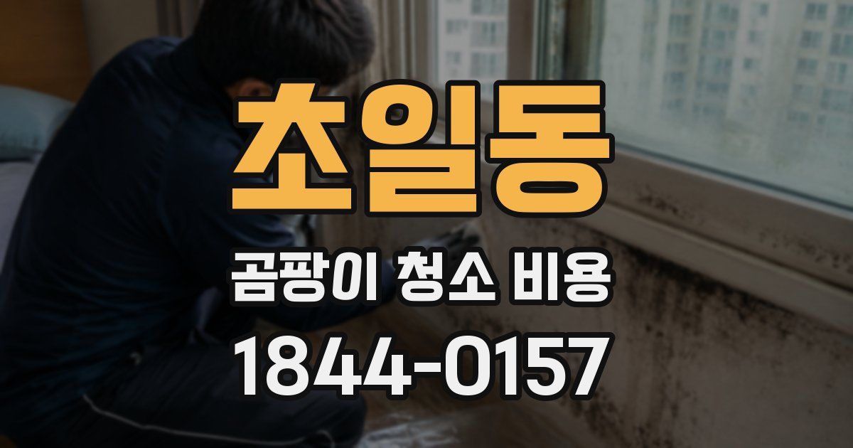 초일동 곰팡이 청소 비용