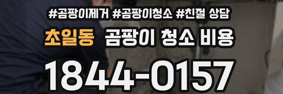 초일동 곰팡이 청소 비용