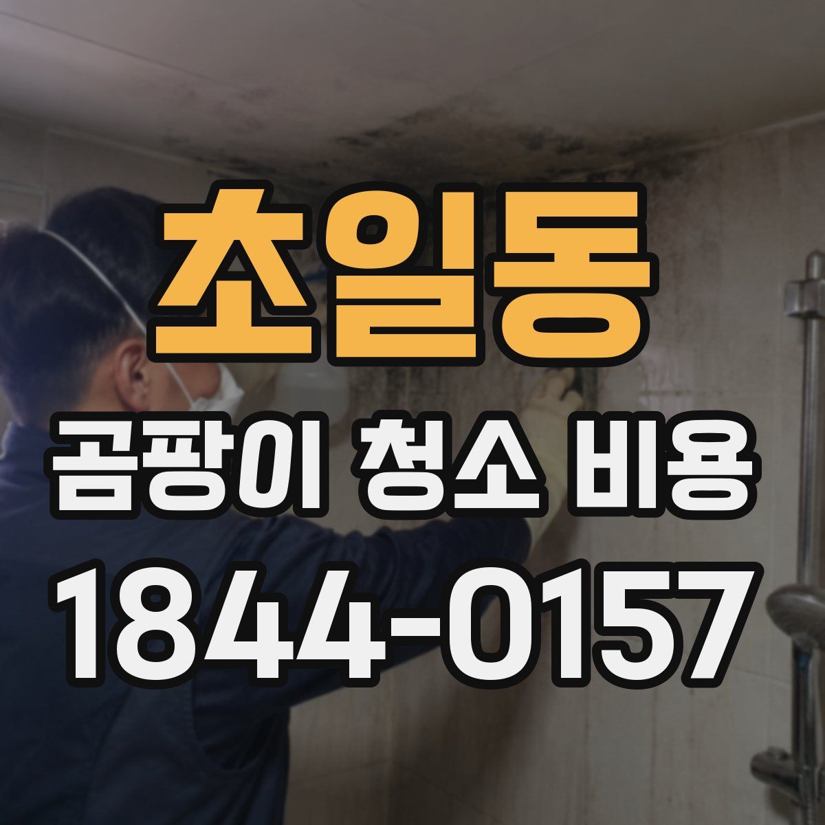 초일동 곰팡이 청소 비용