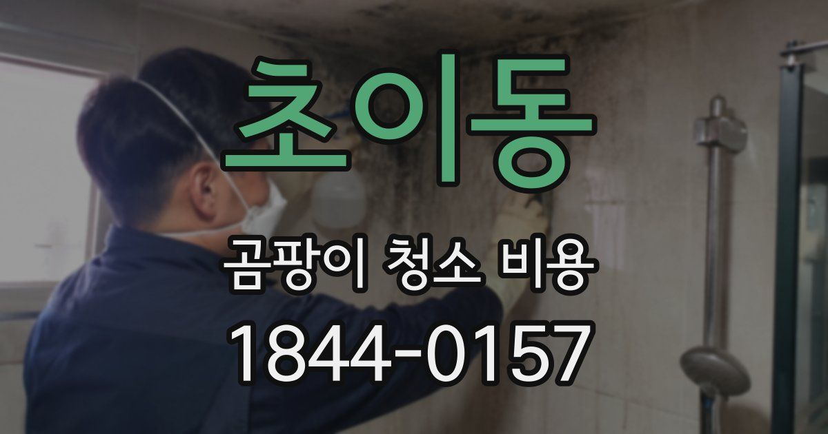 초이동 곰팡이 청소 비용