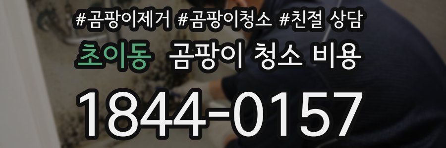 초이동 곰팡이 청소 비용