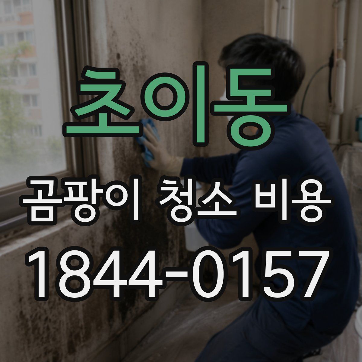 초이동 곰팡이 청소 비용