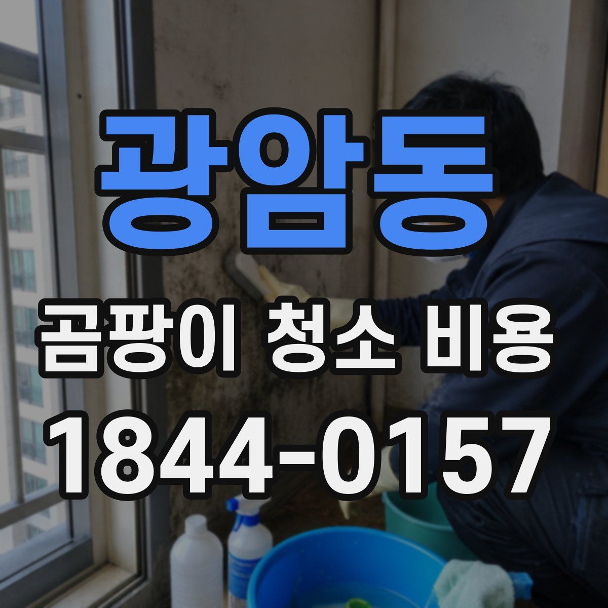 광암동 곰팡이 청소 비용