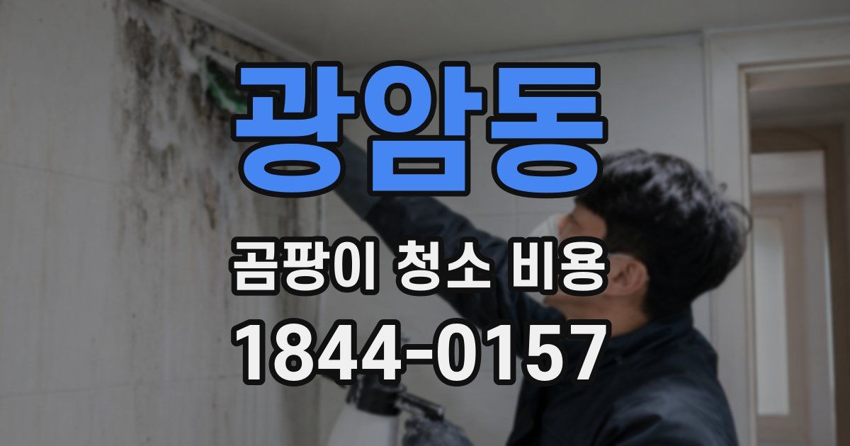 광암동 곰팡이 청소 비용