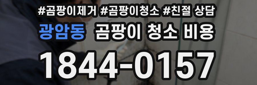 광암동 곰팡이 청소 비용