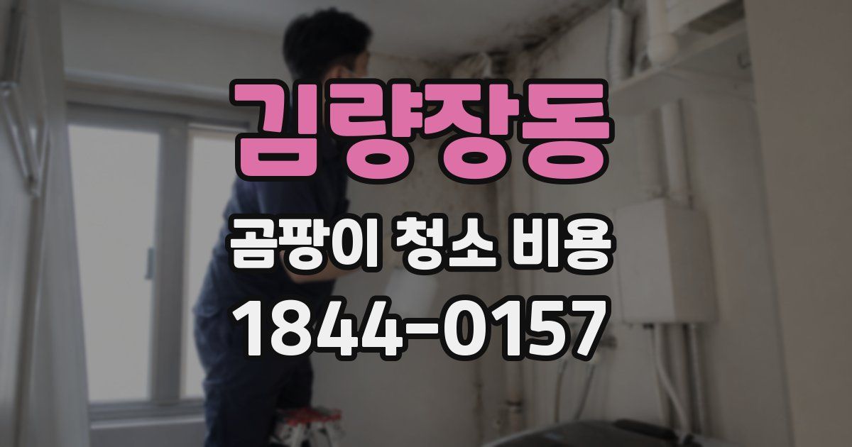 김량장동 곰팡이 청소 비용