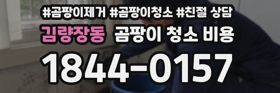 김량장동 곰팡이 청소 비용
