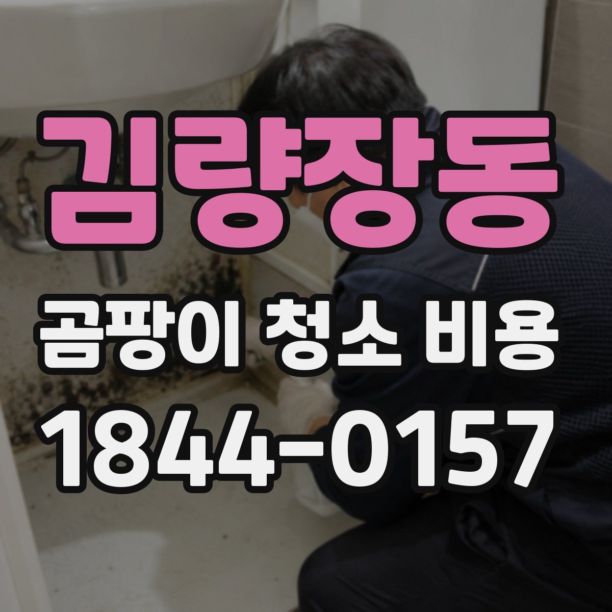 김량장동 곰팡이 청소 비용
