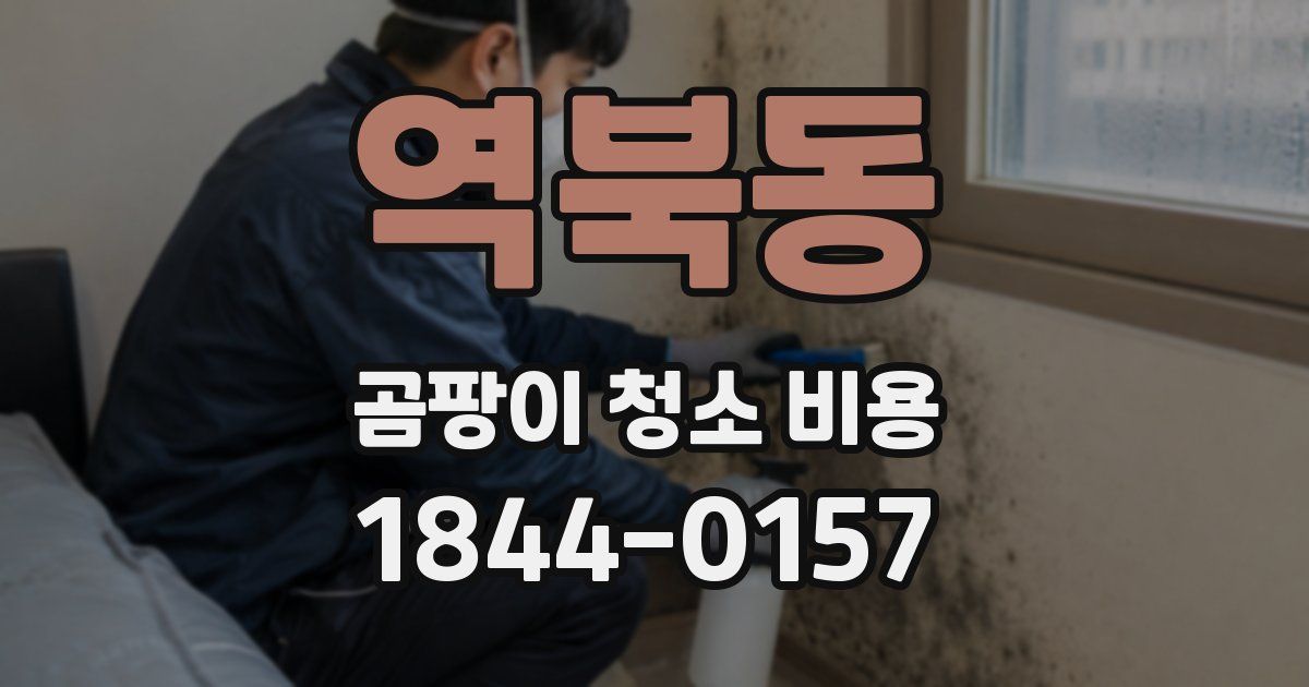 역북동 곰팡이 청소 비용