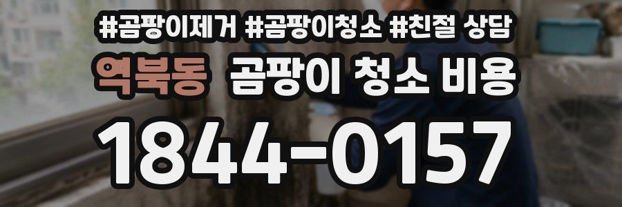 역북동 곰팡이 청소 비용