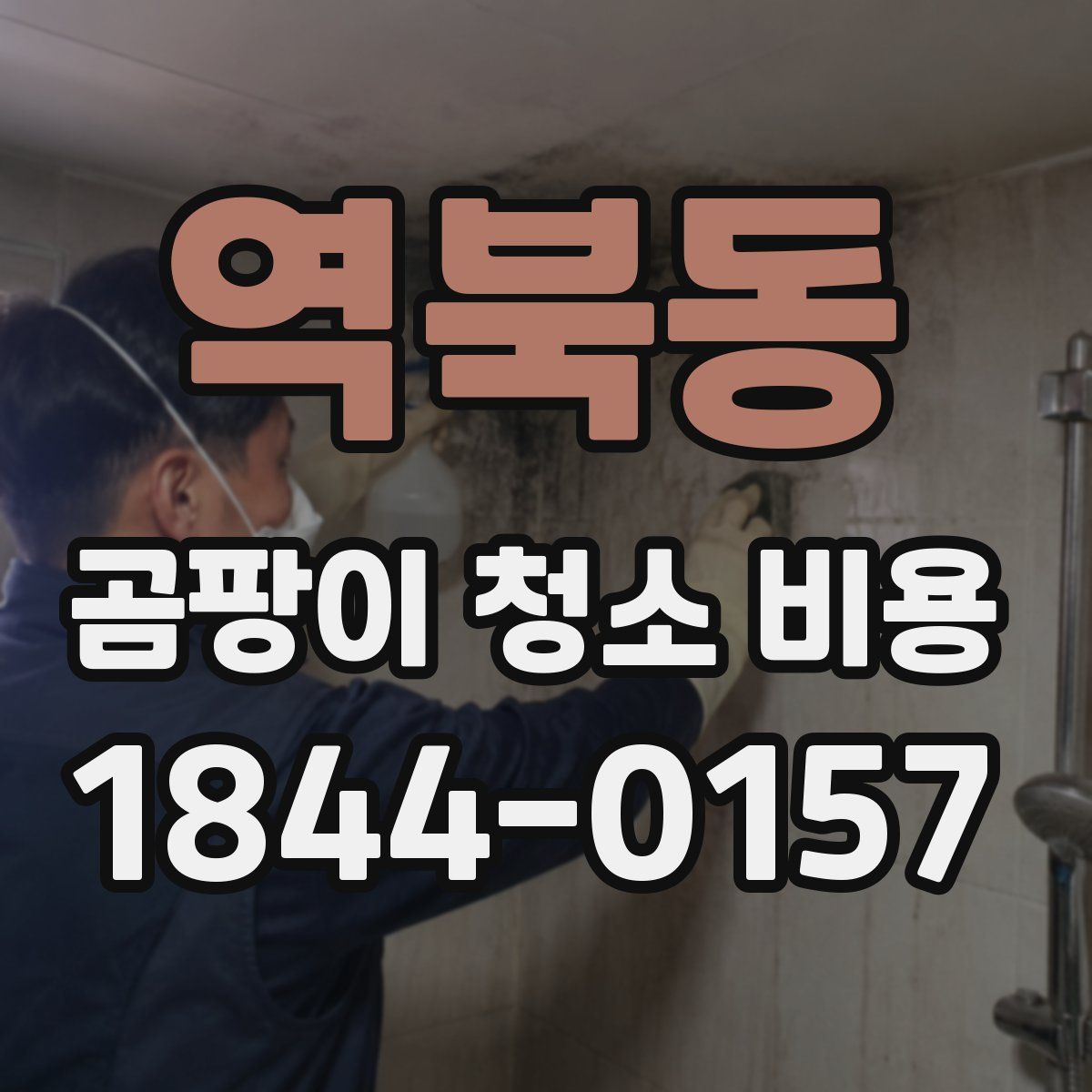 역북동 곰팡이 청소 비용