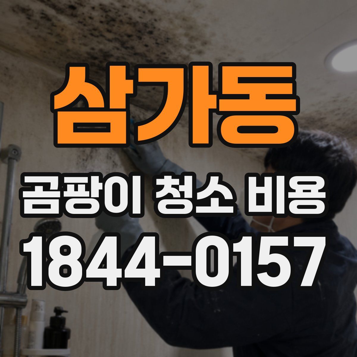 삼가동 곰팡이 청소 비용