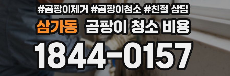삼가동 곰팡이 청소 비용