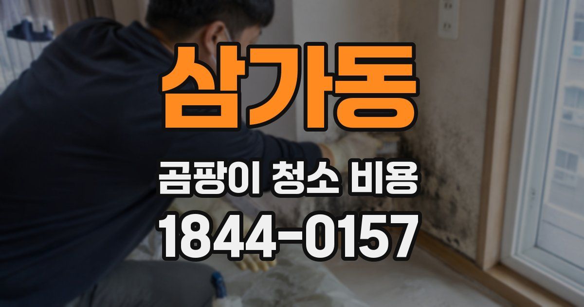 삼가동 곰팡이 청소 비용