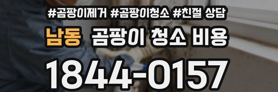 남동 곰팡이 청소 비용