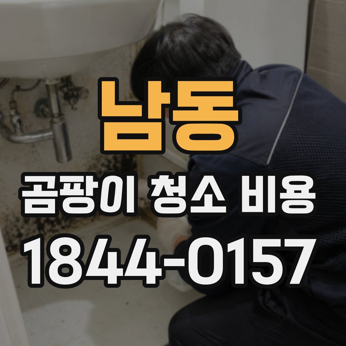 남동 곰팡이 청소 비용