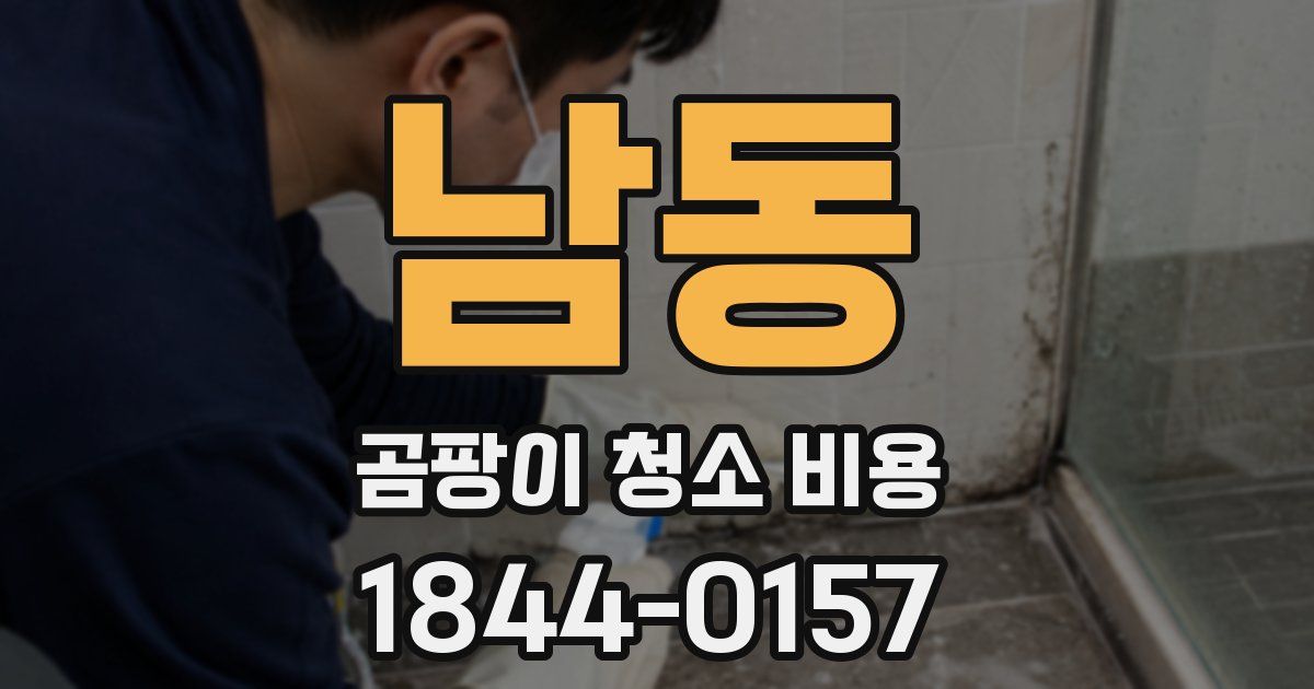 남동 곰팡이 청소 비용
