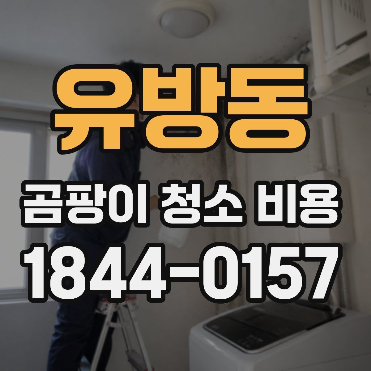 유방동 곰팡이 청소 비용 체크리스트와 견적 비교 팁