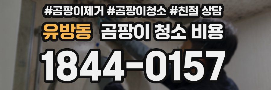 유방동 곰팡이 청소 비용
