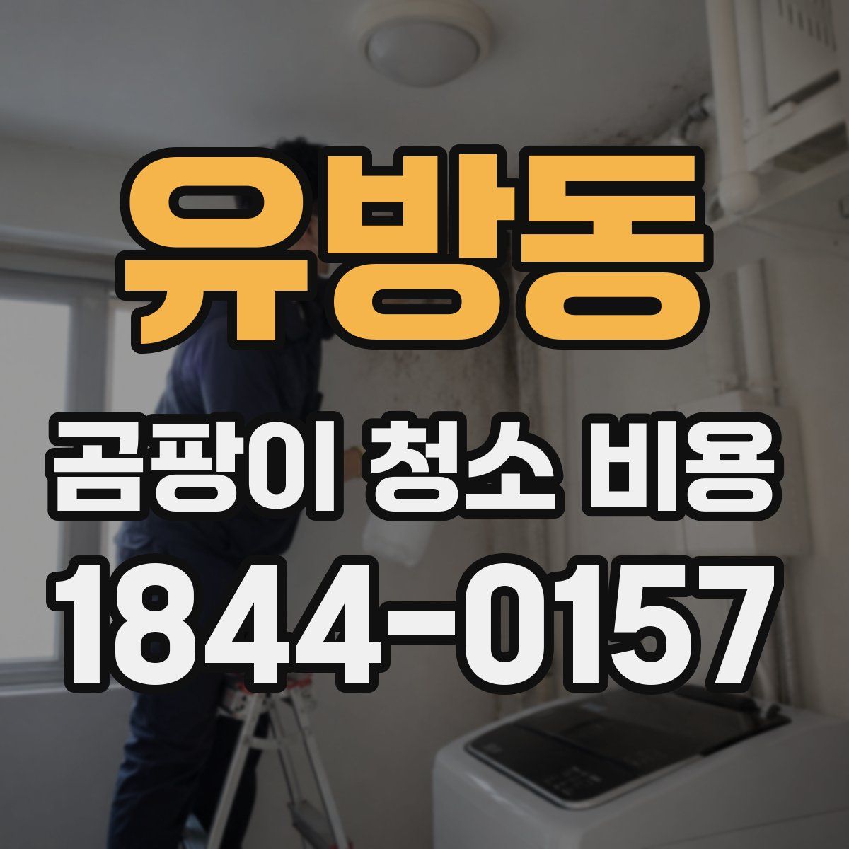유방동 곰팡이 청소 비용