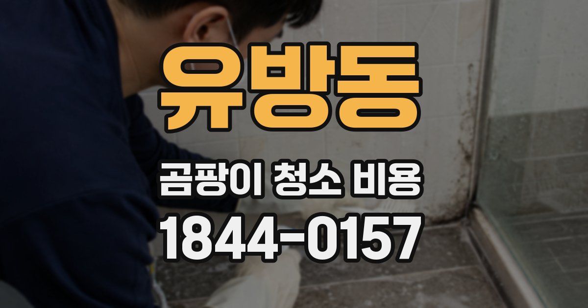 유방동 곰팡이 청소 비용