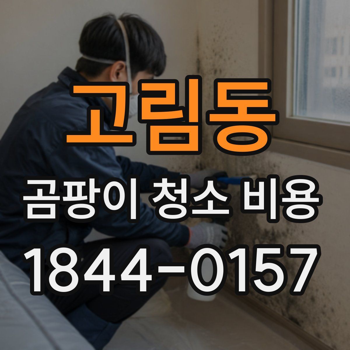 고림동 곰팡이 청소 비용