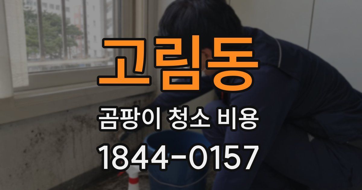 고림동 곰팡이 청소 비용