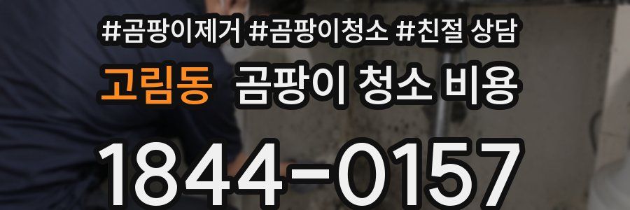 고림동 곰팡이 청소 비용