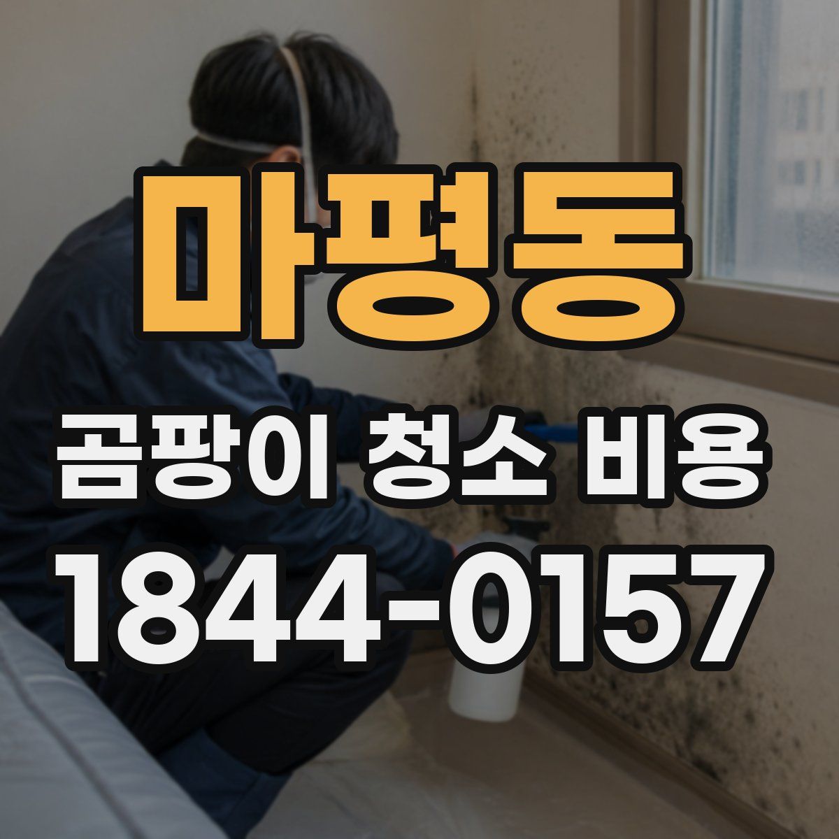 마평동 곰팡이 청소 비용