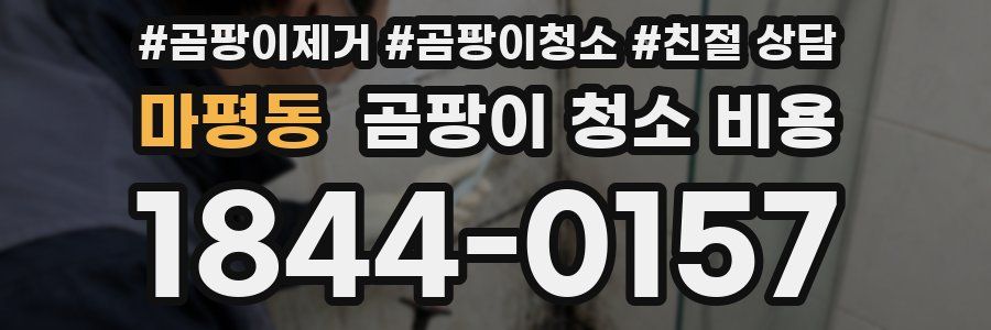 마평동 곰팡이 청소 비용