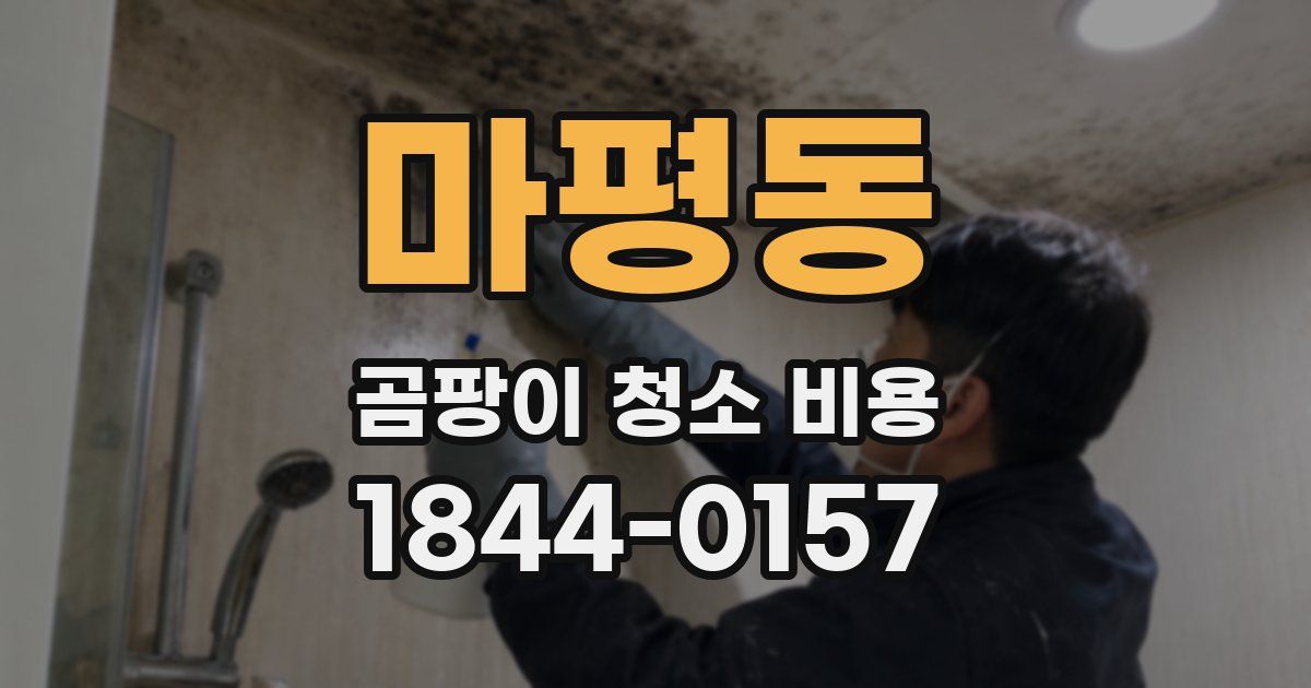 마평동 곰팡이 청소 비용