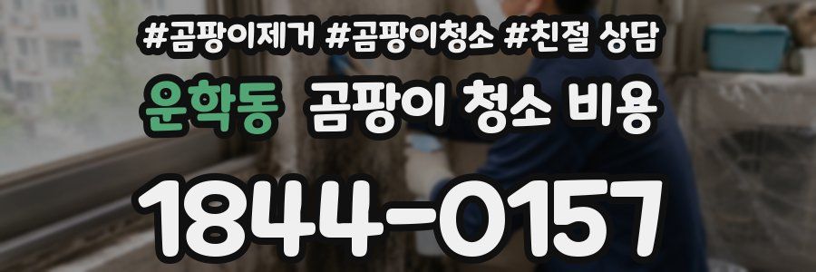 운학동 곰팡이 청소 비용