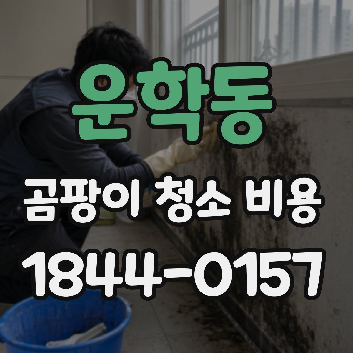 운학동 곰팡이 청소 비용