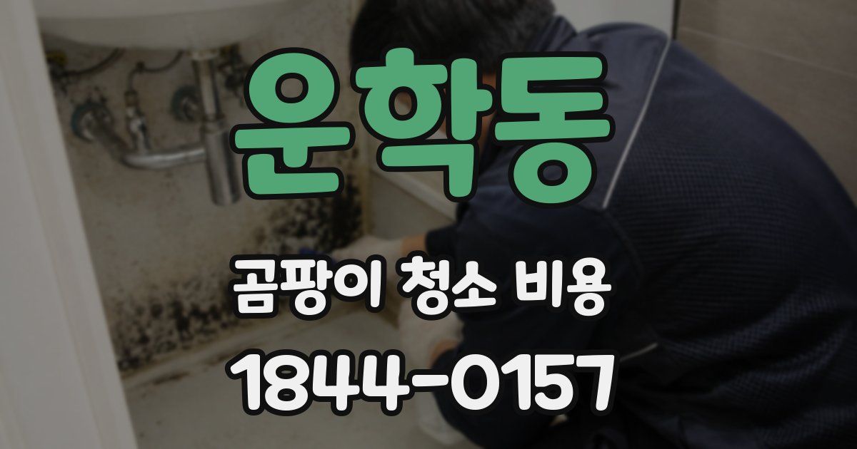 운학동 곰팡이 청소 비용