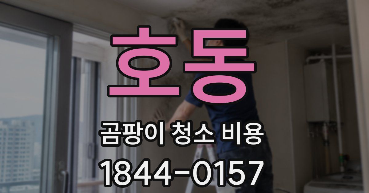 호동 곰팡이 청소 비용